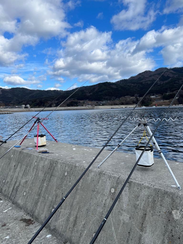 ダイワ (DAIWA) 並継投げ竿 パワーキャスト 30-405 釣り竿 - 最