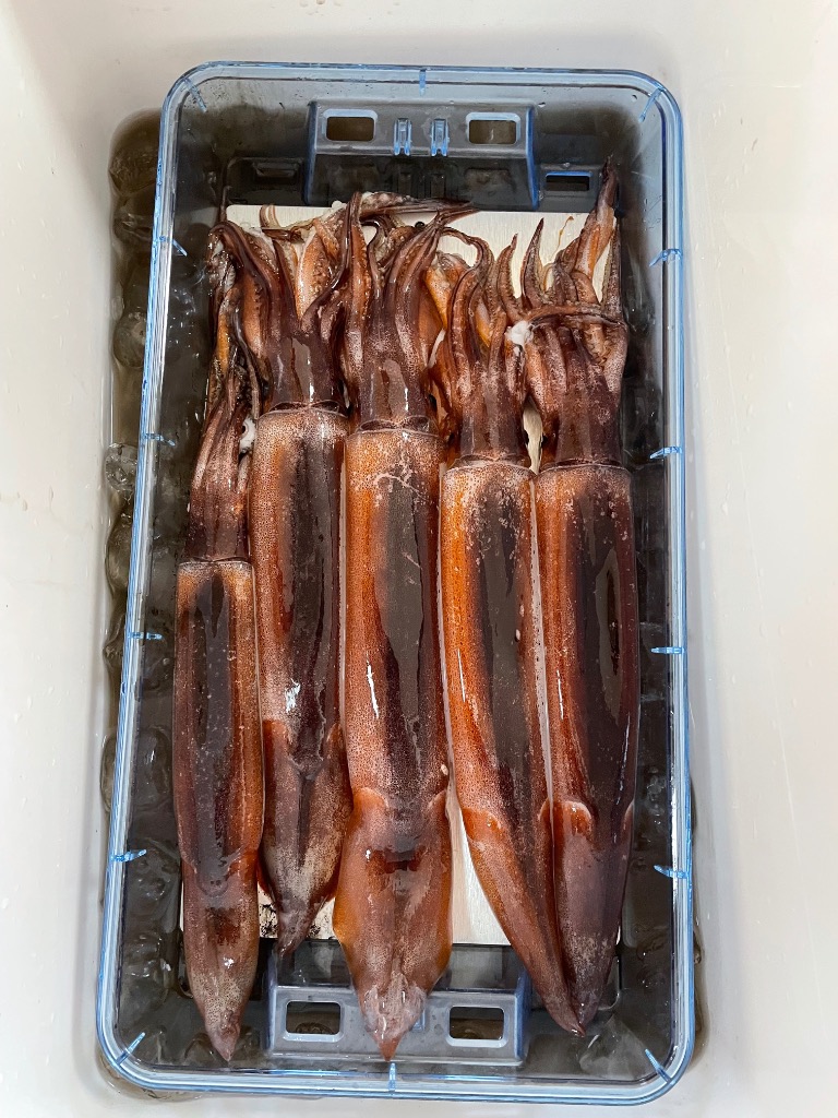 Gamakatsu 24 ラグゼ スピードメタル X B510H-solid LUXXE 釣り