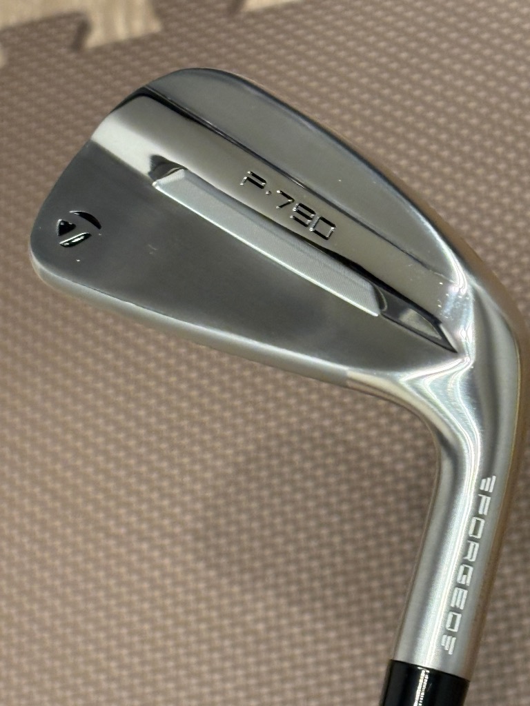 テーラーメイド（TAYLORMADE）（メンズ）P790 アイアンセット 5本(6I