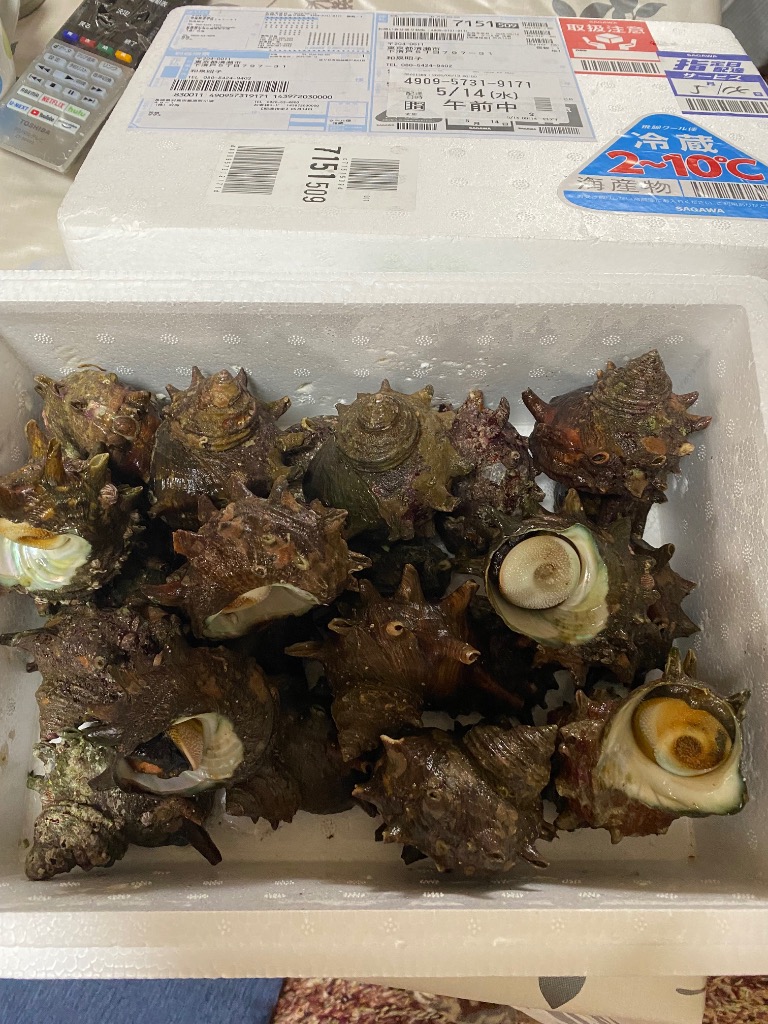 レビュー画像