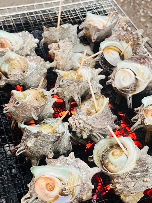 【送料無料】対馬直送！漁師の獲れたてサザエ 2 kg（中サイズ）　刺身・壺焼き用 送料無料対馬直送！漁師の獲れたてサザエ 2 kg （小サイズ） : 対馬