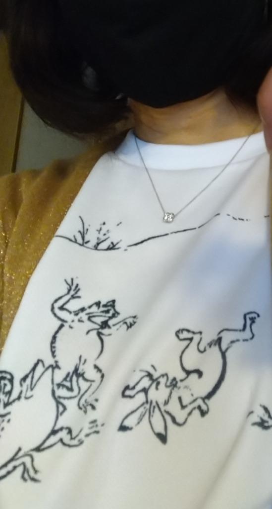 メーカー直送 わけあり 鳥獣戯画 ドライ Tシャツ ウサギ カエル アニマル 兎 蛙 グッズ Lacistitis Es