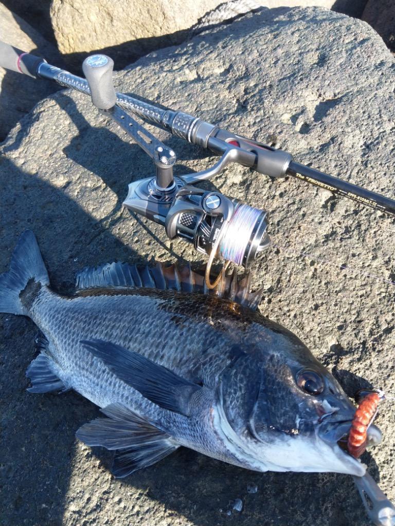 バークレィ 4インチ SW ガルプ パルスワーム Berkley : 釣工房