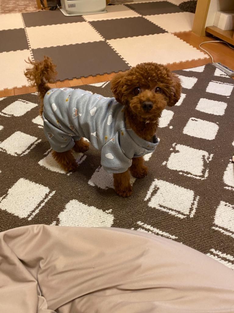 レビュー画像