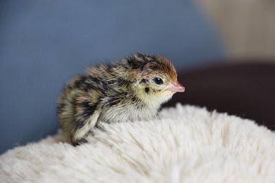 1件目のレビュー画像 | 0