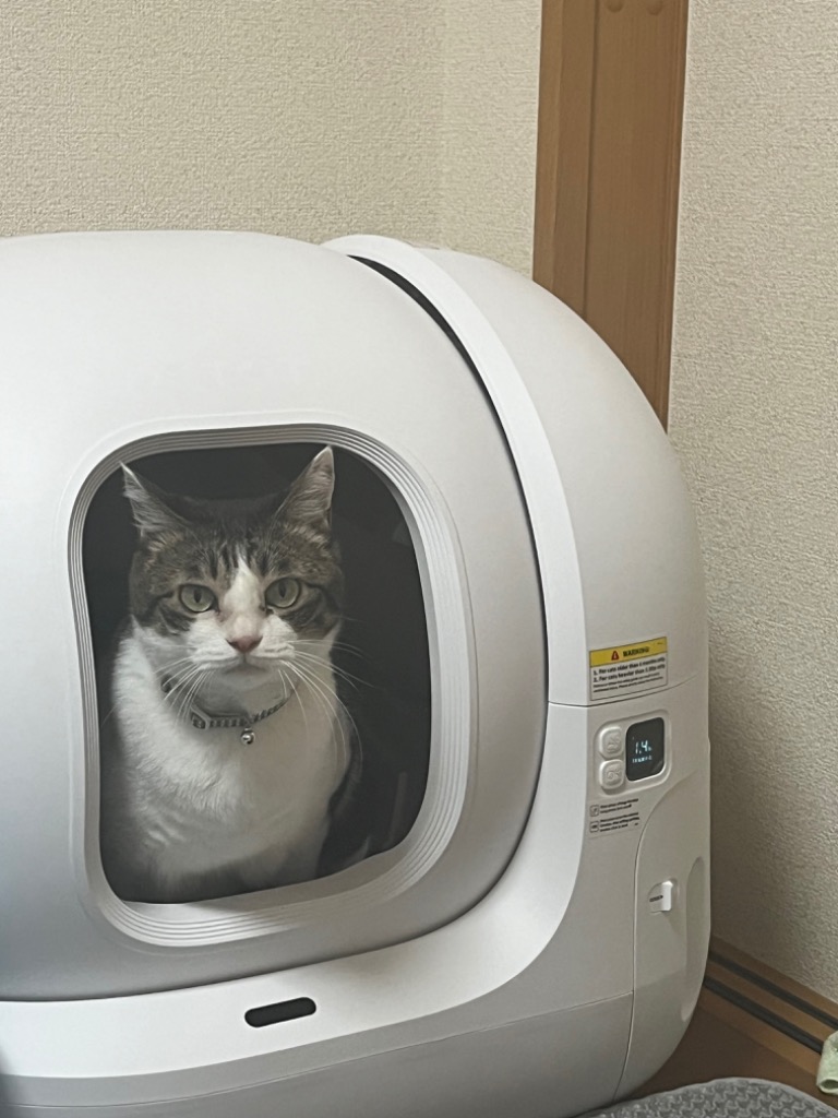 レビュー画像