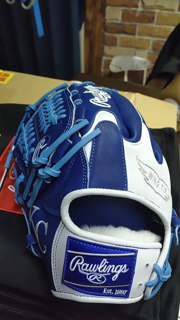 Rawlings 超野球専門店CVオリジナル ローリングス 野球 軟式