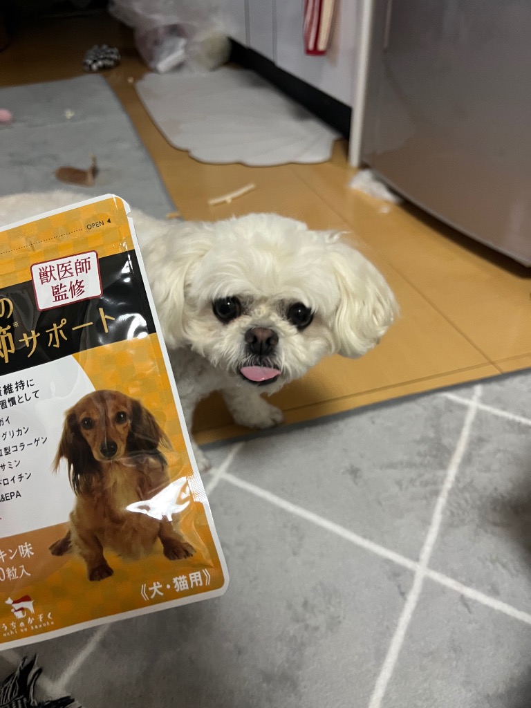全体のレビュー画像 | 1-0