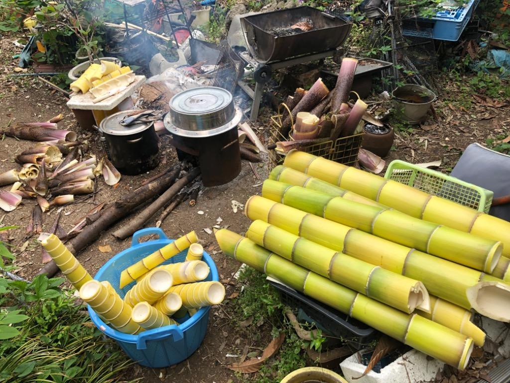 1件目のレビュー画像 | 1