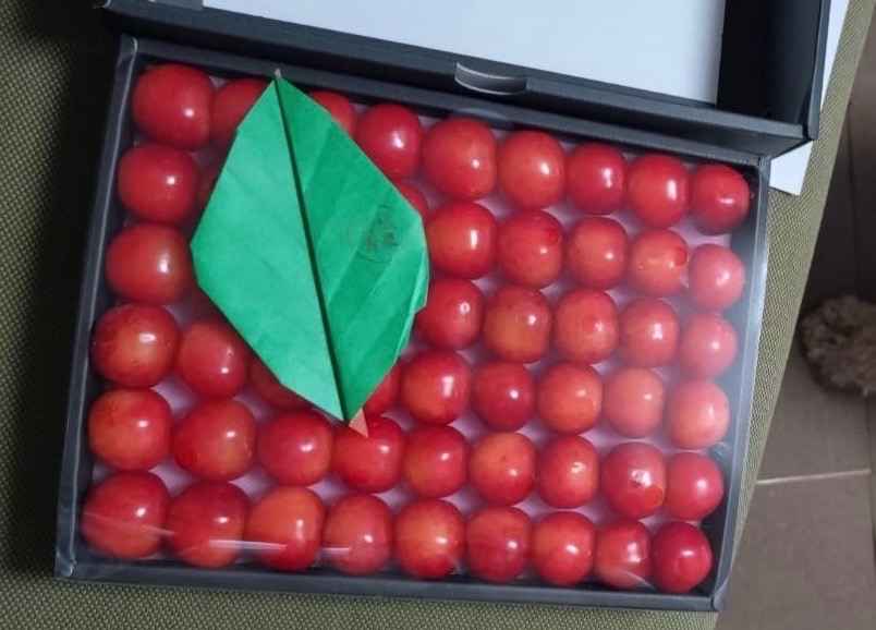 全体のレビュー画像 | 0-0