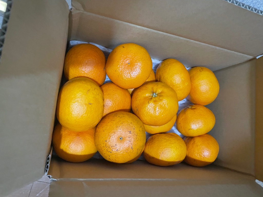 即日発送実施中！】愛媛県産 みかん 甘平(かんぺい) 3kg(ご家庭