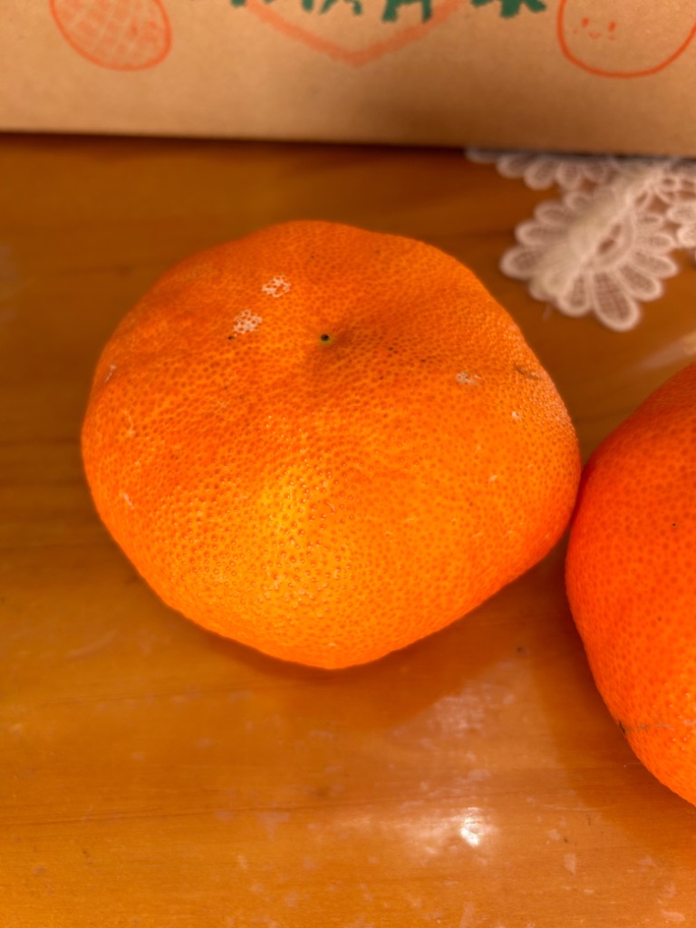 ユイさん専用　甘平8kg家庭用 即日発送実施中！】愛媛県産 みかん 甘平(かんぺい) 3kg(ご家庭