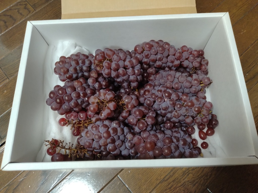 レビュー画像