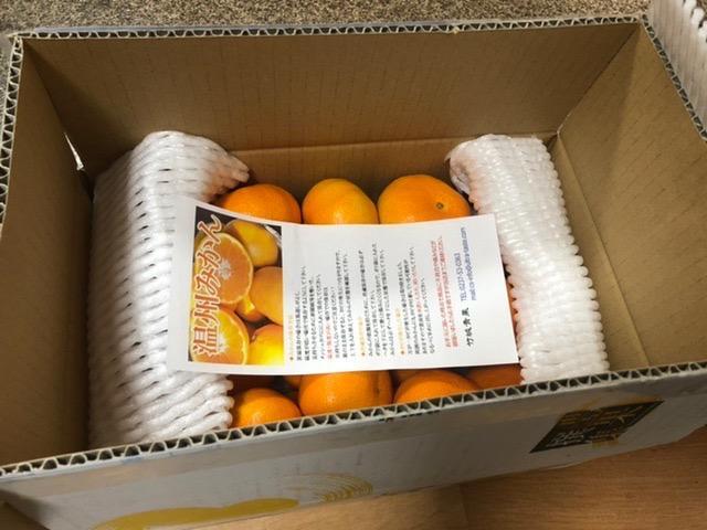 全体のレビュー画像 | 6-0