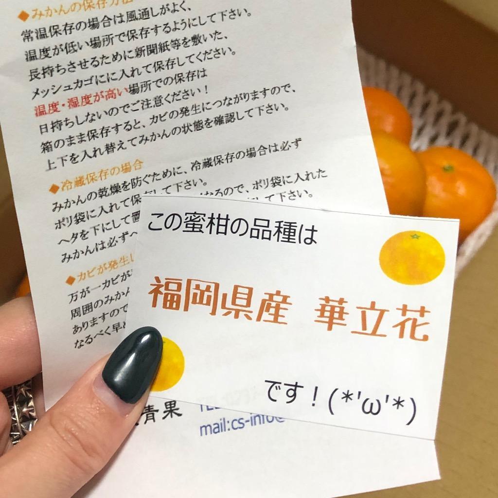 全体のレビュー画像 | 7-0