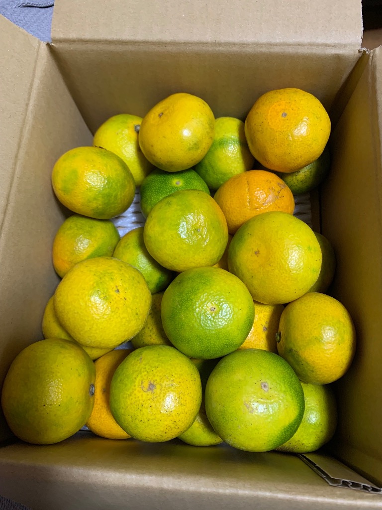 全体のレビュー画像 | 0-0