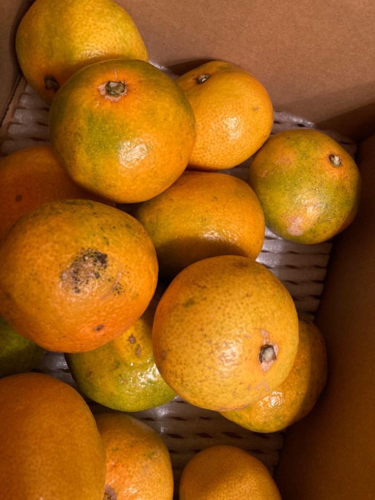 全体のレビュー画像 | 2-0