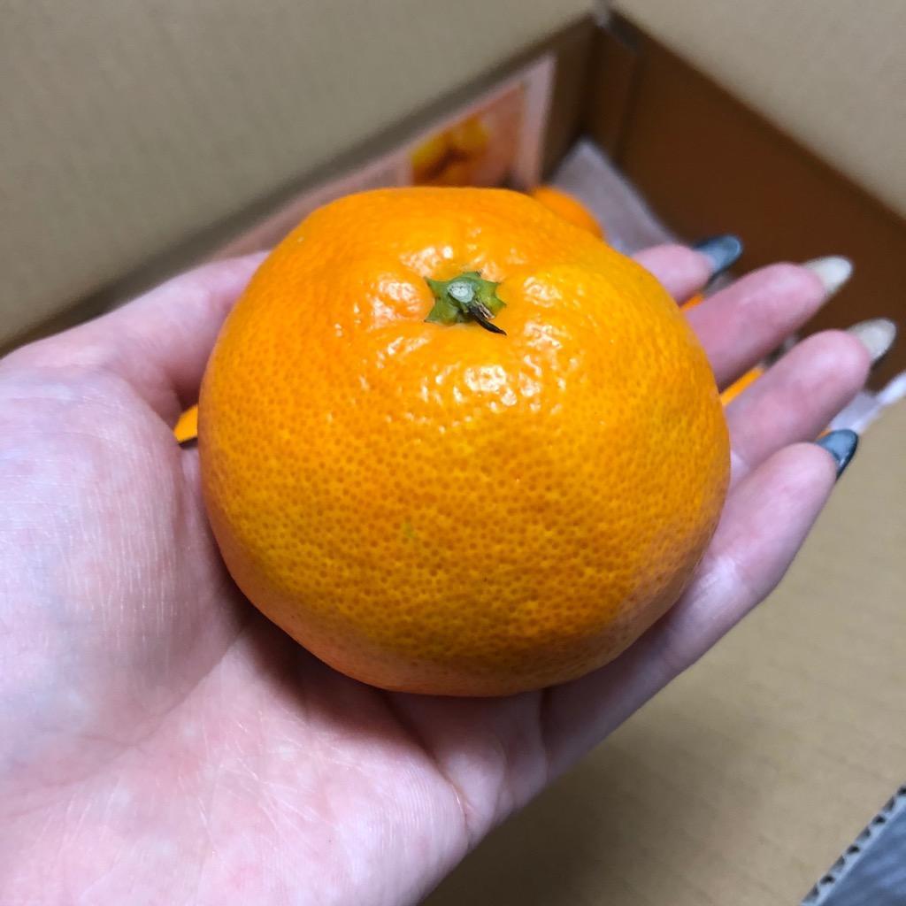 全体のレビュー画像 | 7-1