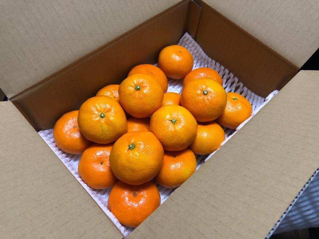 全体のレビュー画像 | 7-2