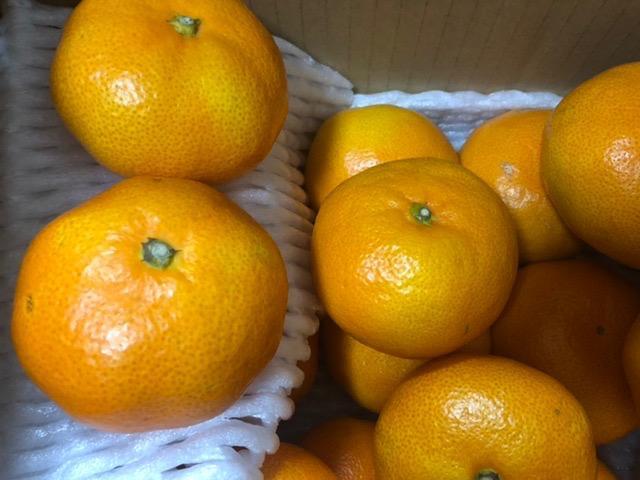 全体のレビュー画像 | 6-1