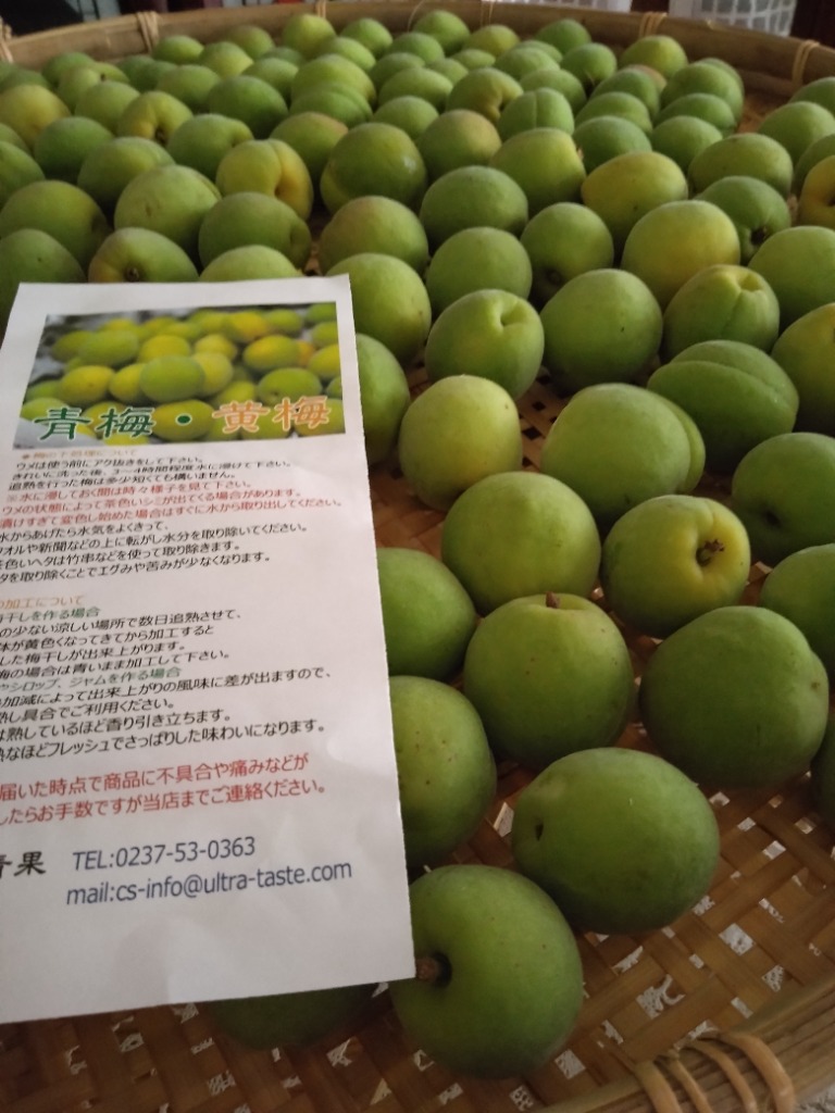 即日発送実施中！】山形県産 加工用 青梅 5kg : 竹城青果 - 通販