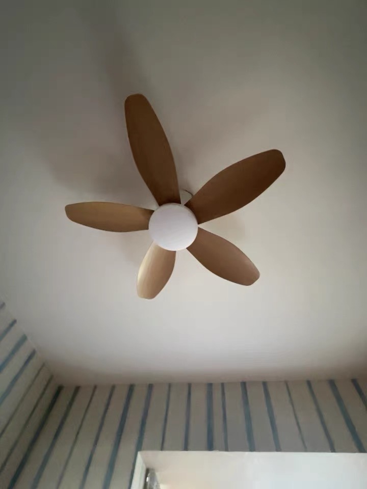 全体のレビュー画像 | 3-0