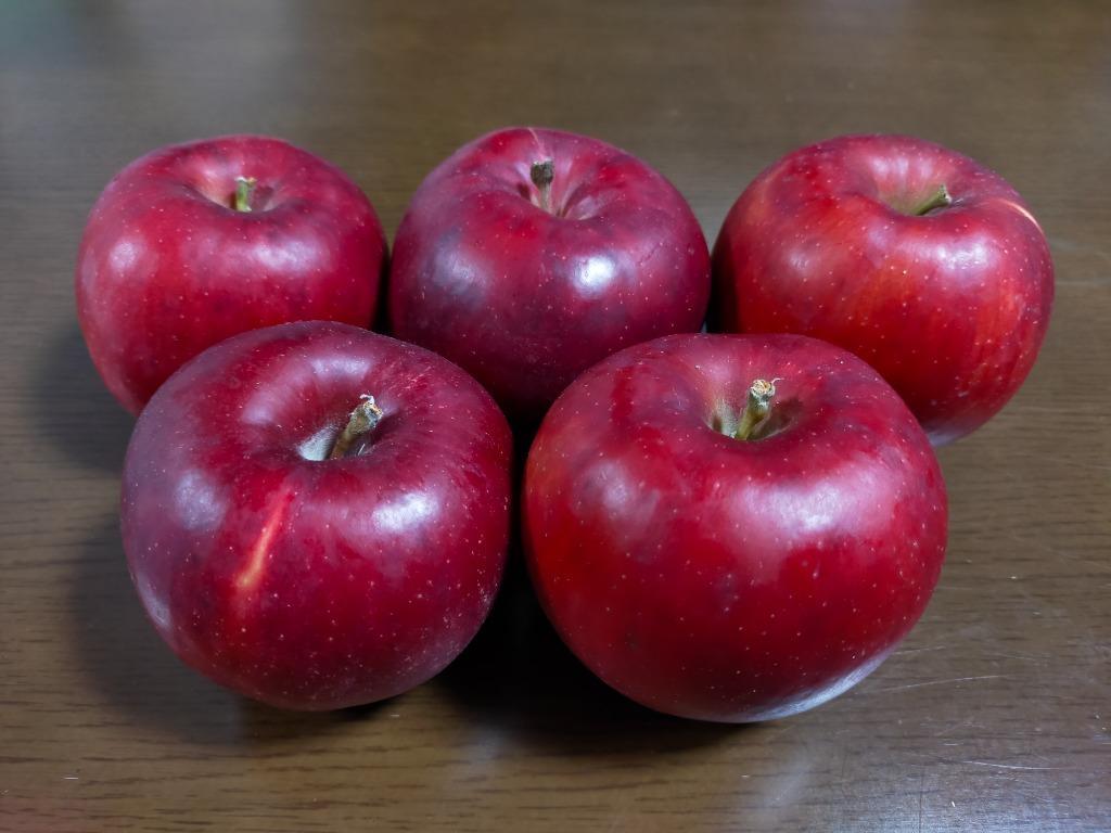 青森県産 りんご『樹齢百年を越える古木の“昔紅玉”』 約2.5kg（12〜22 