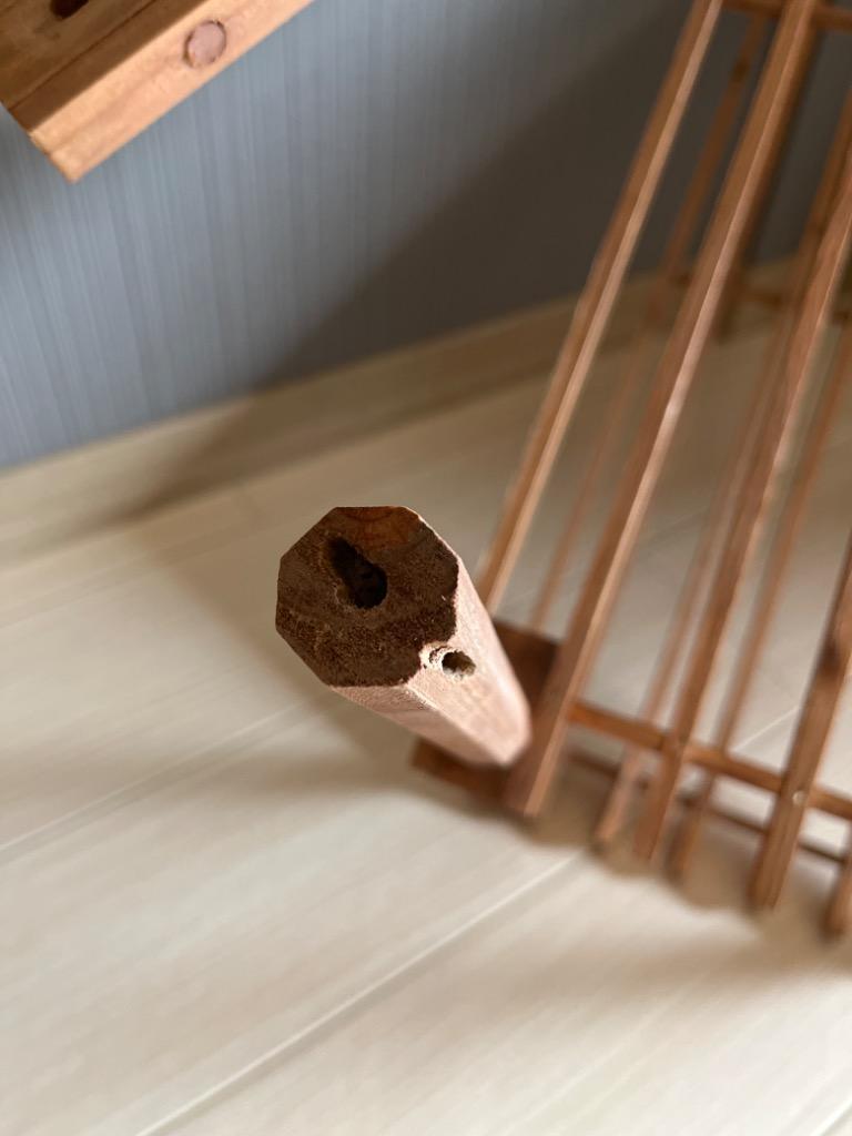 全体のレビュー画像 | 1-0