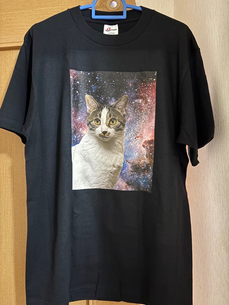 全体のレビュー画像 | 0-0