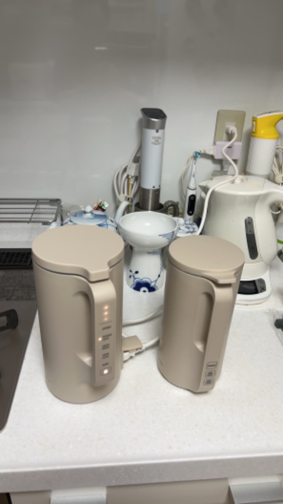 recolte レコルト Auto Cooking Pot 自動調理ポット RSY-2 自動