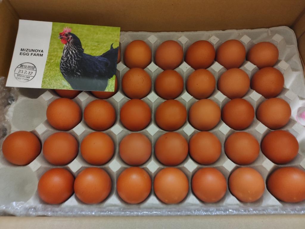 ［連絡用］鶏の卵 Field Market “純国産鶏卵 愛農さくら卵・もみじ卵”