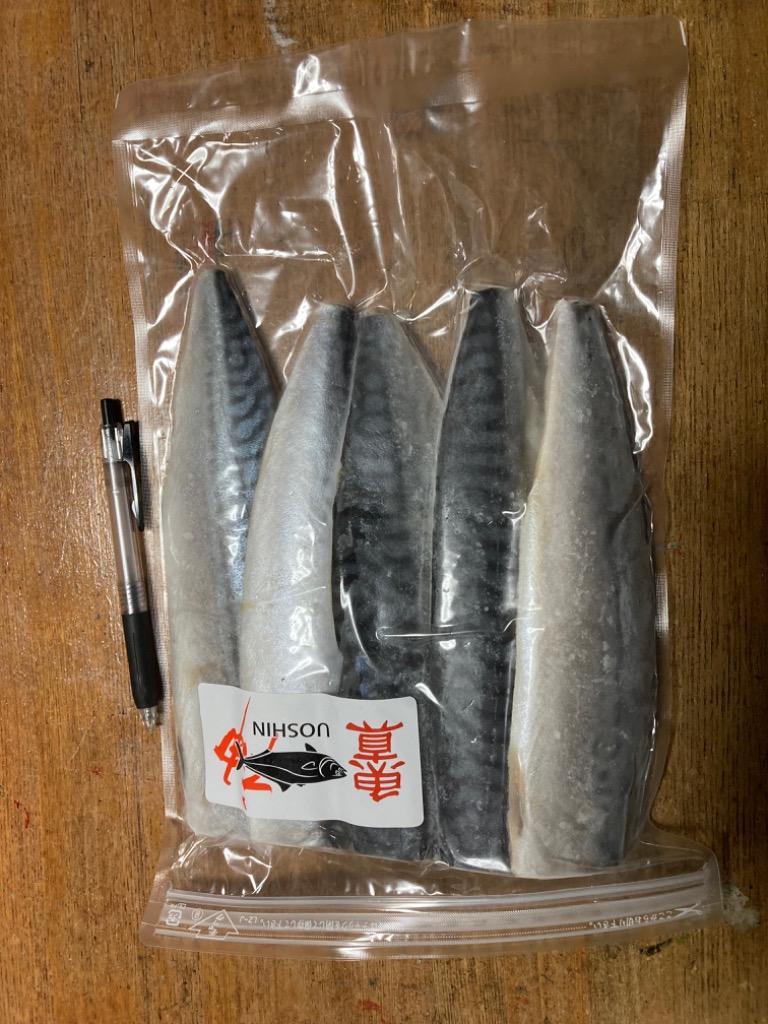 サバ 半身フィーレ 20枚入り 1枚約135g 真鯖 塩サバ 鯖 さば 切り身 魚真 :shiosaba-20:魚真 - 通販 -  Yahoo!ショッピング