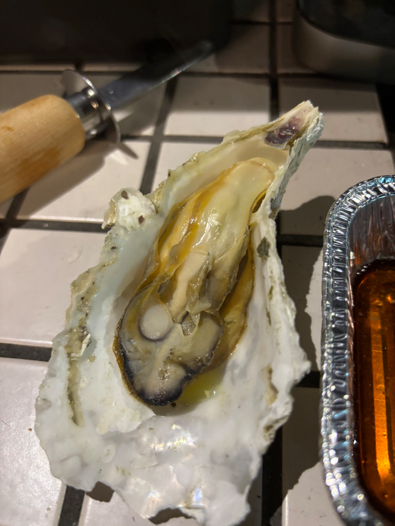 全体のレビュー画像 | 1-1