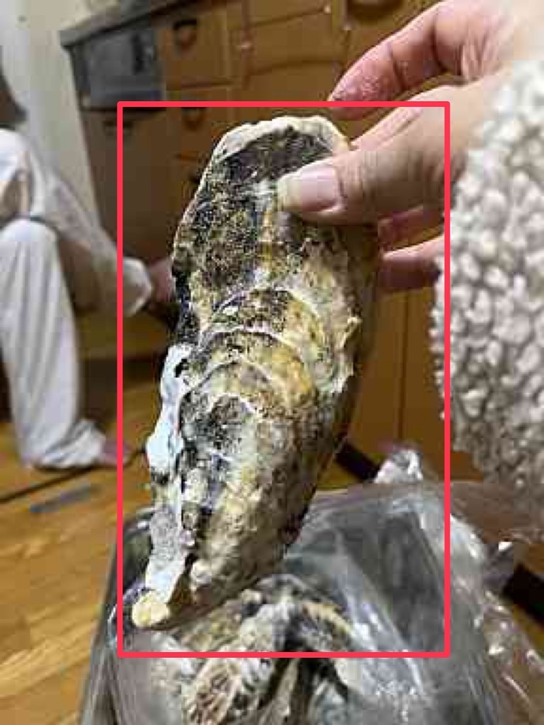 9件目のレビュー画像 | 0