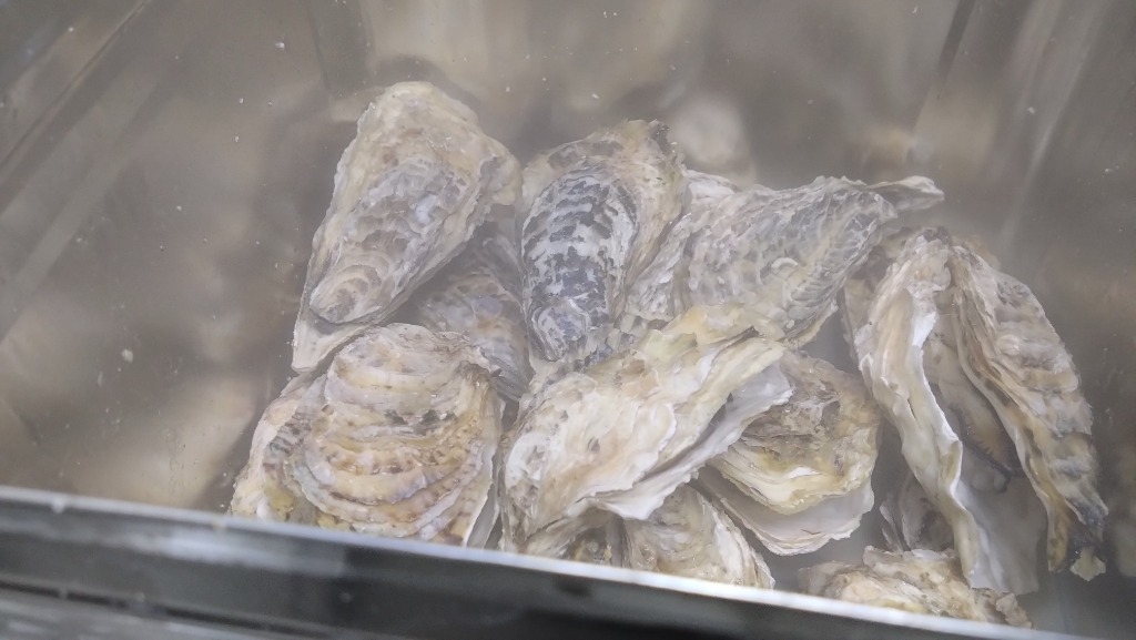 全体のレビュー画像 | 3-2