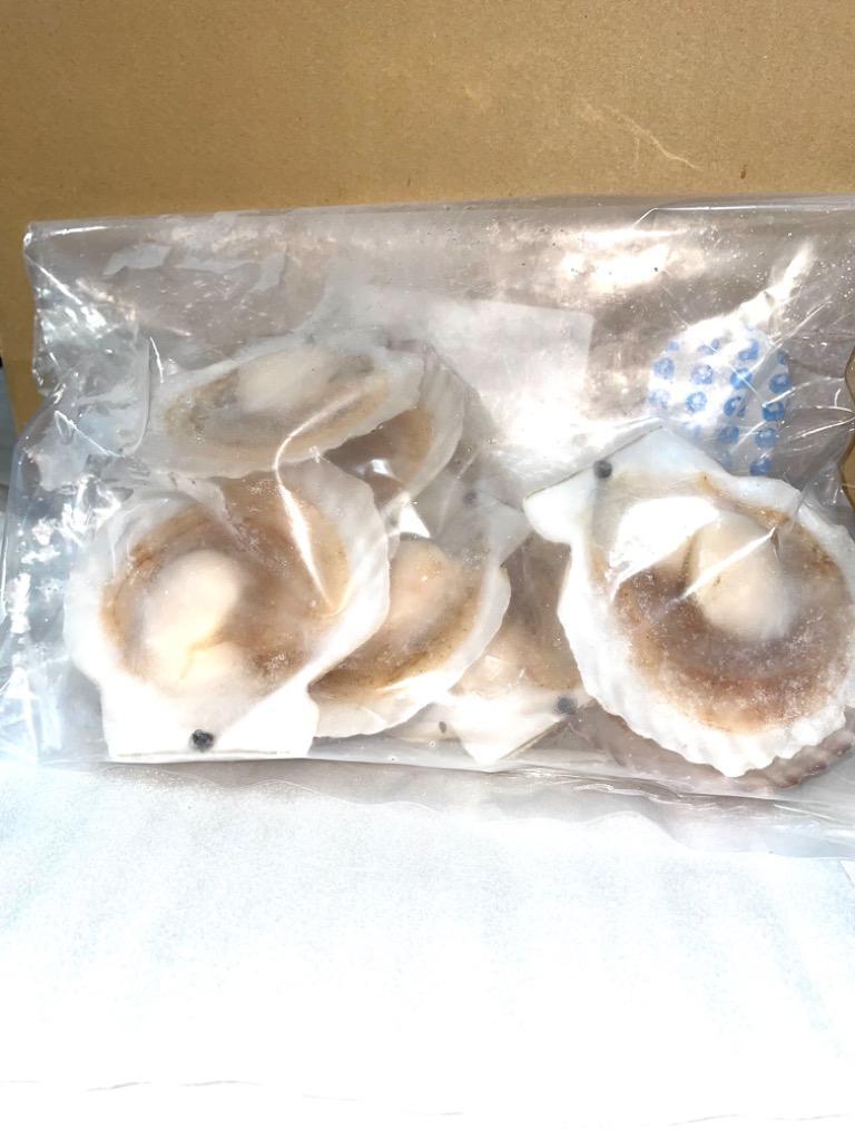 全体のレビュー画像 | 0-0