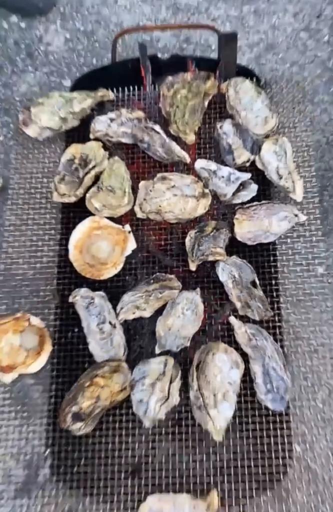 全体のレビュー画像 | 1-0