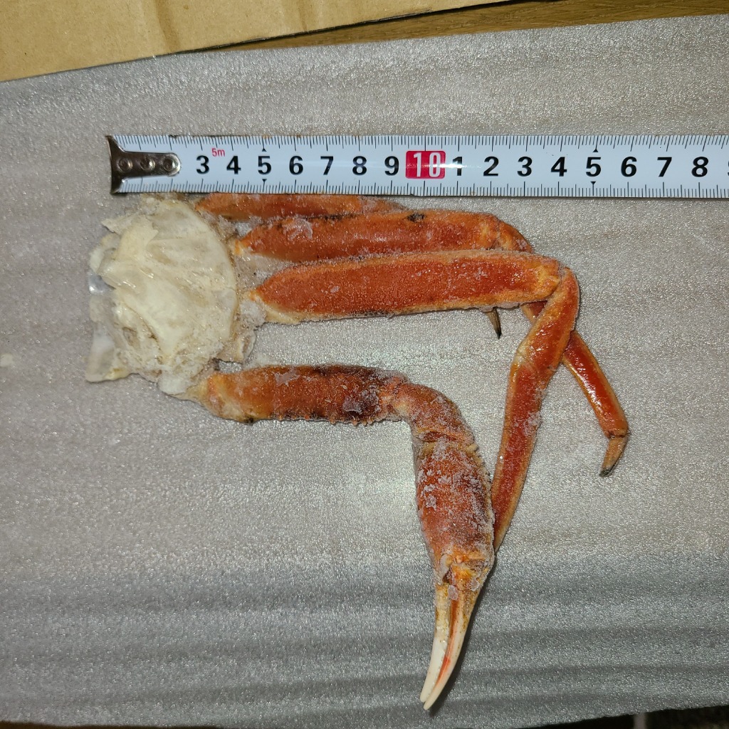 全体のレビュー画像 | 1-1