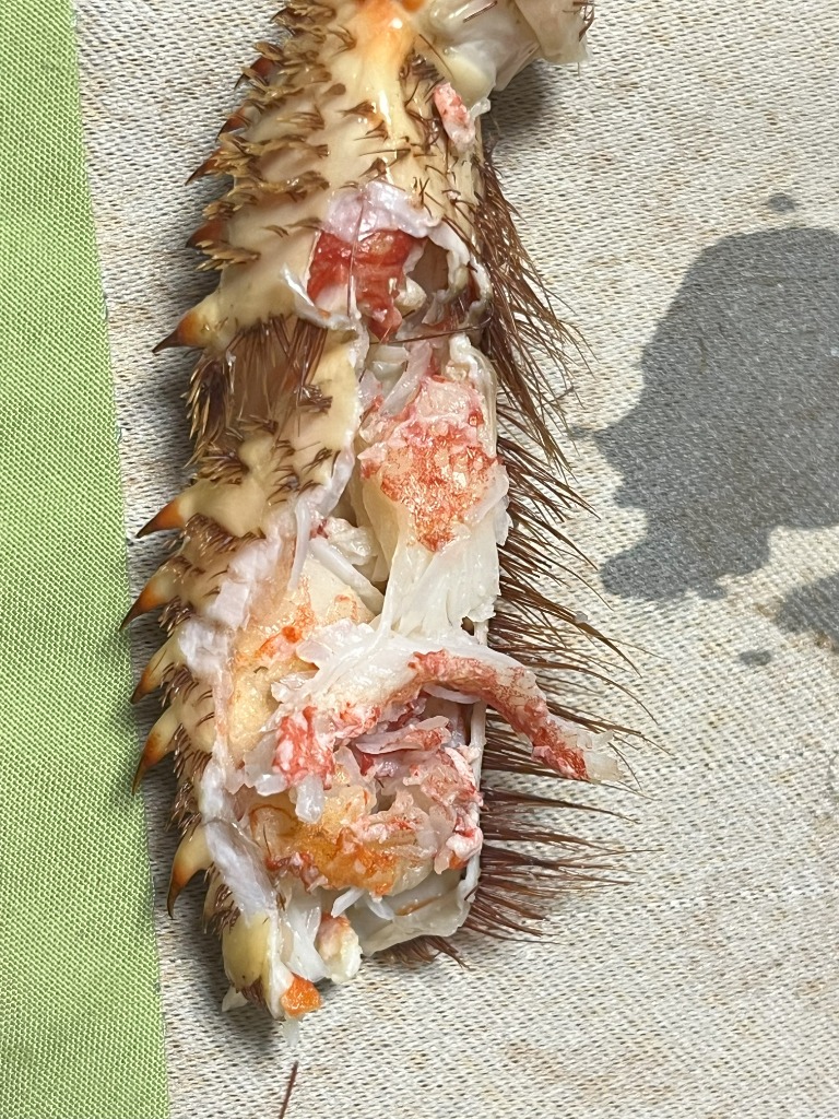 1件目のレビュー画像 | 1