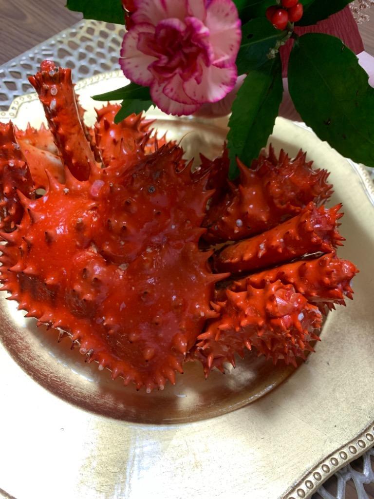 全体のレビュー画像 | 3-0