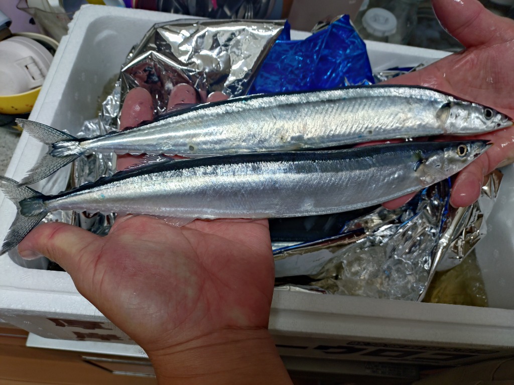 6件目のレビュー画像 | 0