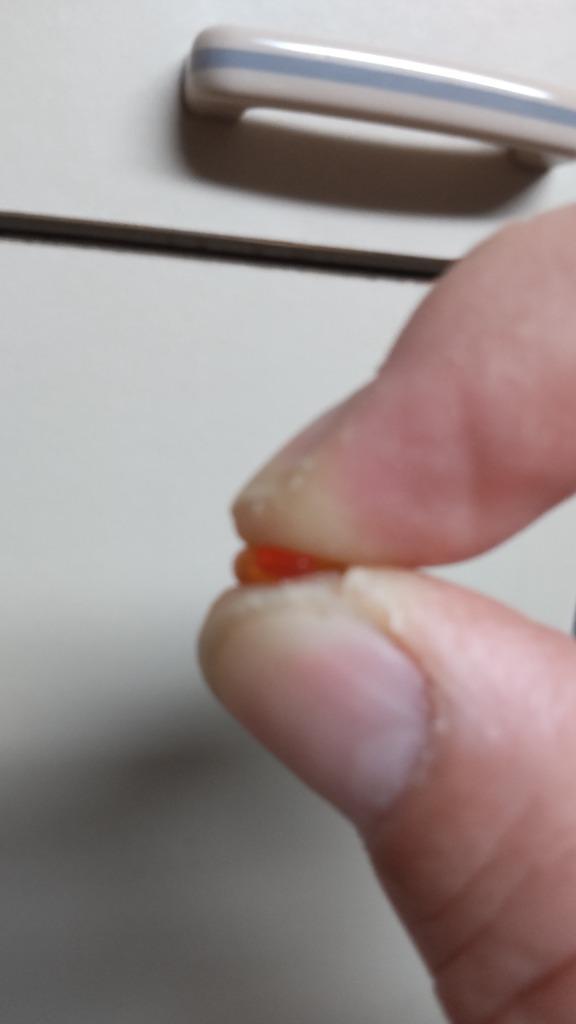 5件目のレビュー画像 | 0