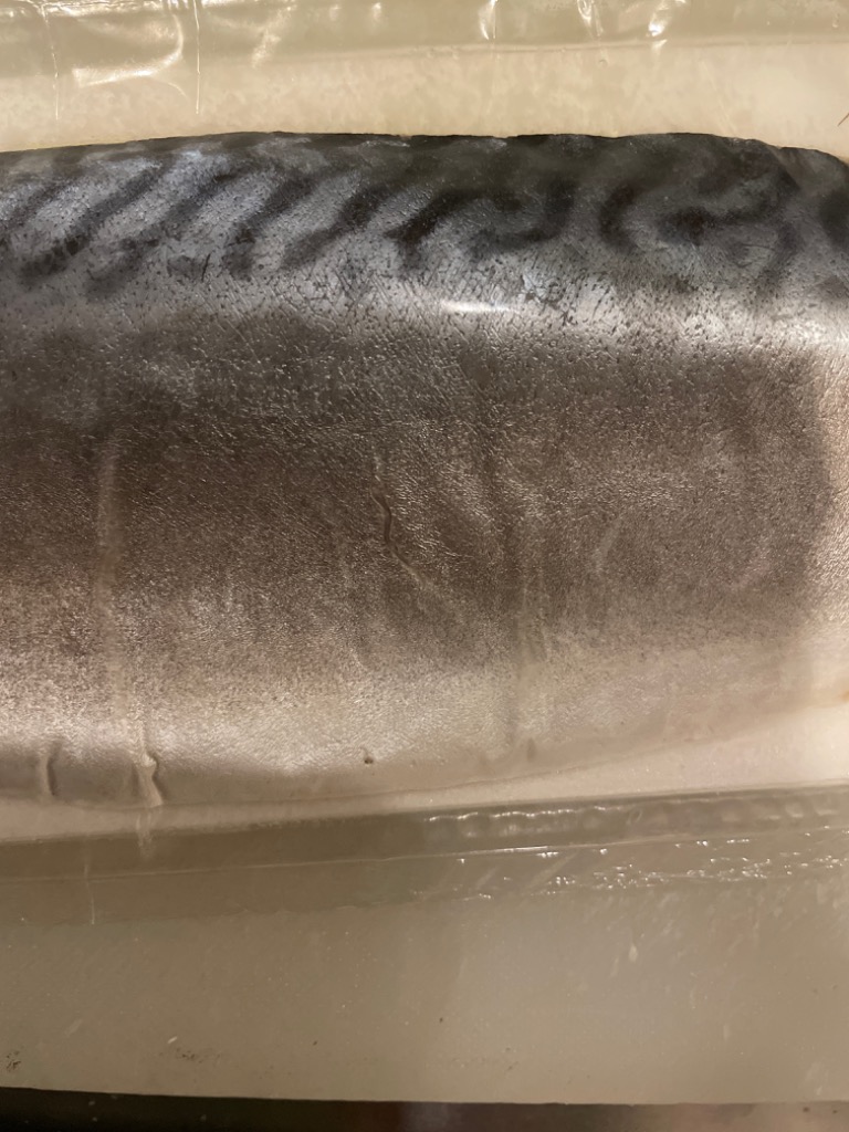 全体のレビュー画像 | 16-0