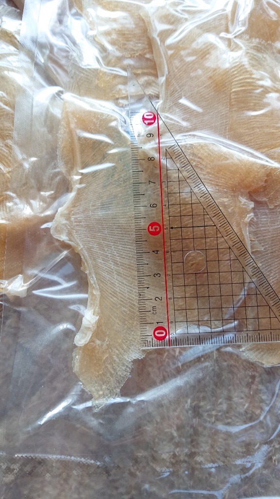 1件目のレビュー画像 | 0