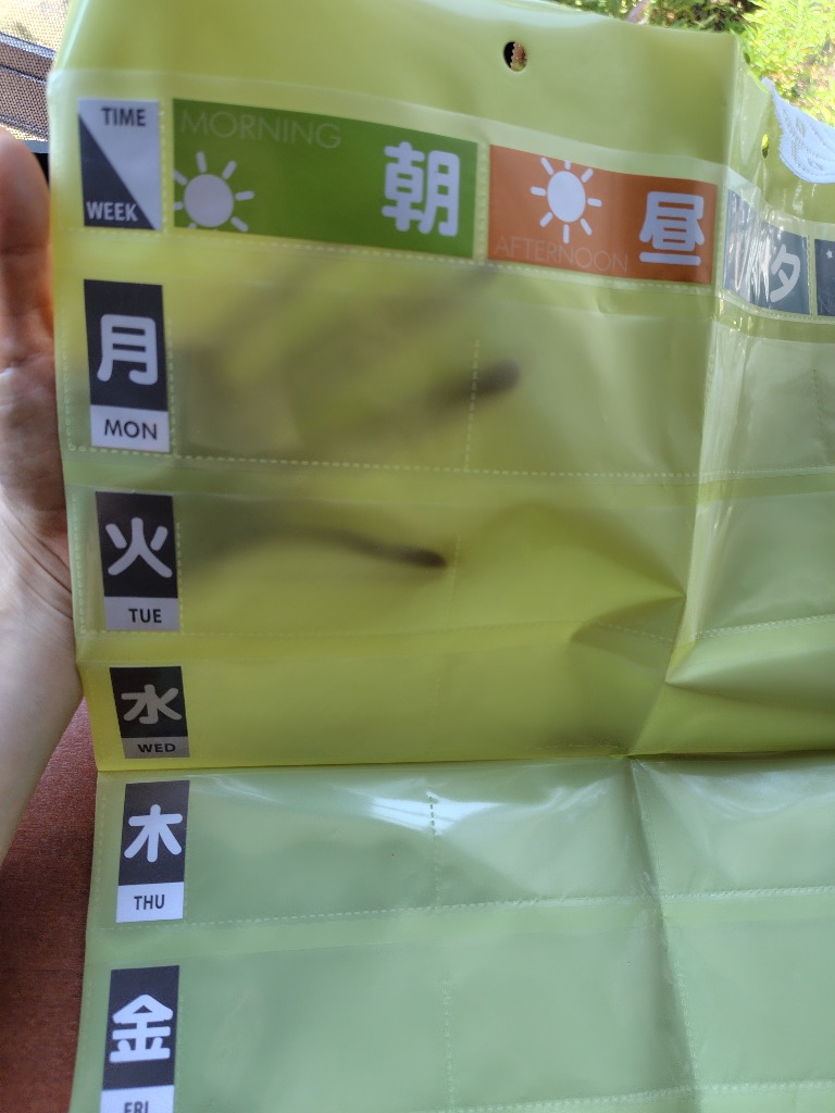 レビュー画像