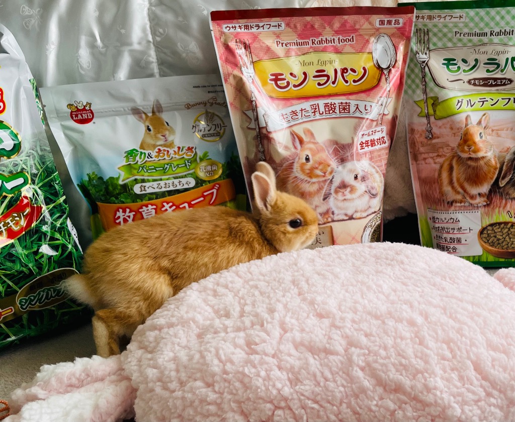 美品 カールヘルム モンラパン うさぎ マカロン 総柄 フード付きシャツ 日本製 ニチドウ プレミアムラビットフード モンラパン 850g うさぎ 餌