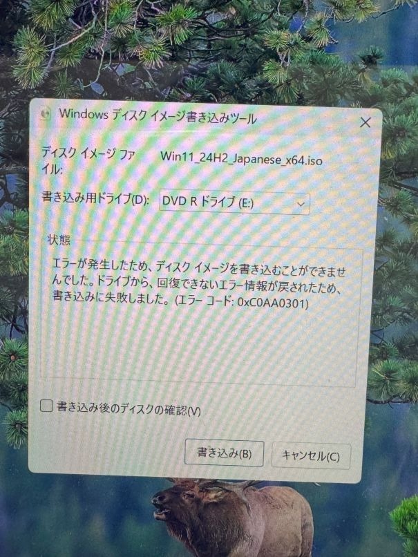 レビュー画像