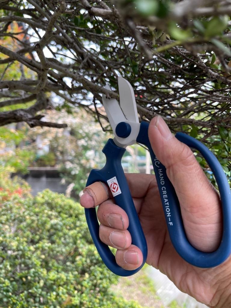 坂源 ハンドクリエーション 古流タイプ ブルー F-170 6g7v4d0 Amazon.co.jp: 坂源 ハンドクリエーション 古流タイプ ブルー F