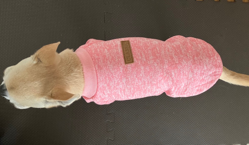 レビュー画像