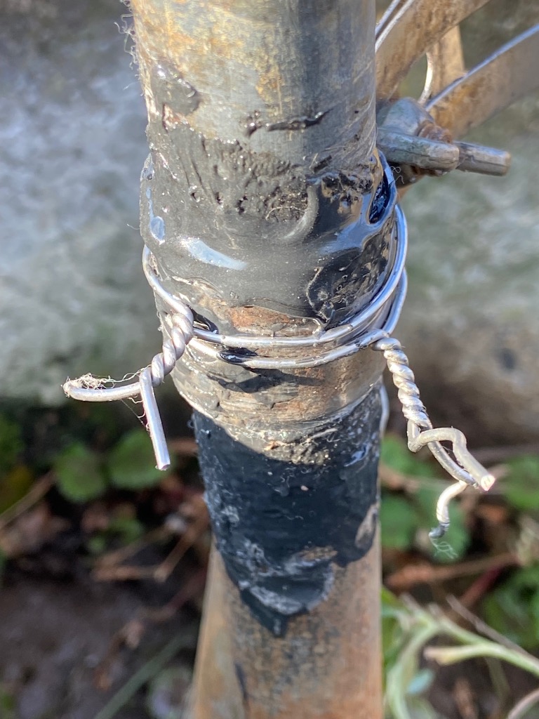 全体のレビュー画像 | 0-0